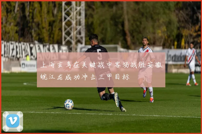 上海玄鸟在关键战中客场战胜安徽皖江龙成功冲击三甲目标